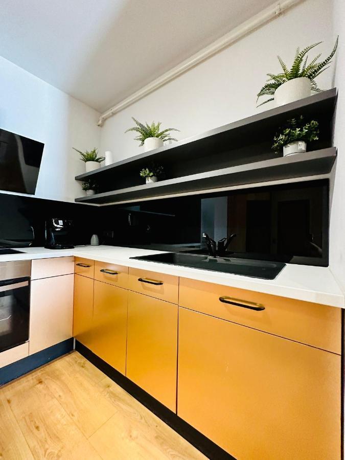 Kharisma Apartment-Free Parking-Ultracentral Cluj Napoca Bagian luar foto